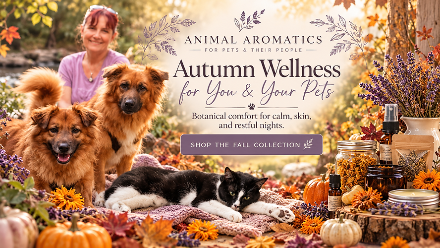 Autumn Wellness for Pets & People-banner.png