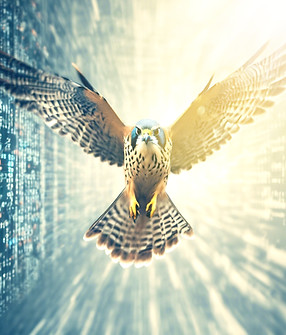 A kestrel falcon flying in front of lines of software code..jpg