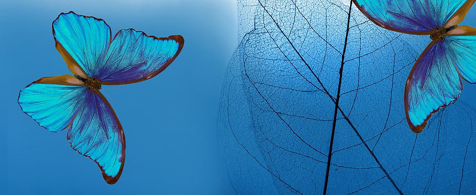 WhatsApp Image 2025-11-11 at 23.29.09_bab80149.jpg