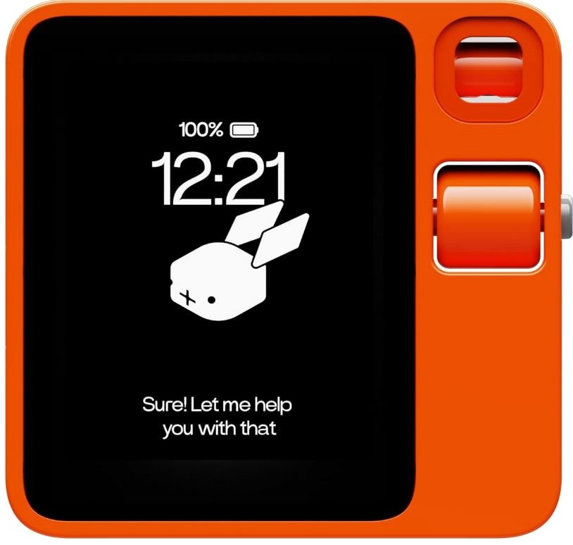 rabbitr1.JPG