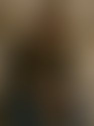 O Dever de Trabalhar: entre o Direito à Assistência e a Responsabilidade Moral