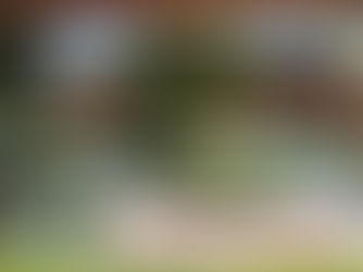 CountryVille para Karnopp Imóveis