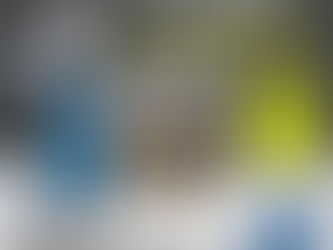 CHEGARAM OS ESTRIBOS BORTOLASO