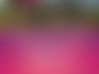 Condomínio Belle Ville anuncia caminhada