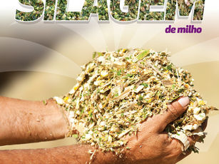 Manual Silagem BioGene