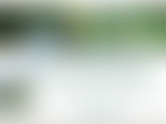 Universal Leaf Tabacos anuncia no Dia de Conservação do Solo