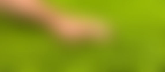 A formação da muda não é corrida. É relação.