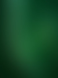 Cientistas brasileiros e a regeneração de lesões medulares graves