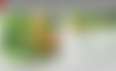 Folder para Dupont Financial Services