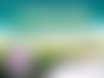 BG7061H - Novo híbrido é a opção ideal para o plantio pós-tabaco