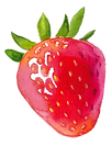 イチゴ一粒