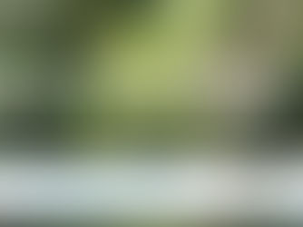 Município de Santa Cruz do Sul anuncia no Dia do Meio Ambiente