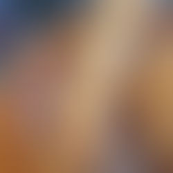 Pain maison dit pain des ménages