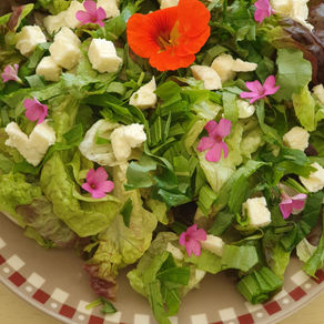  Mangez des fleurs et des feuilles ! 