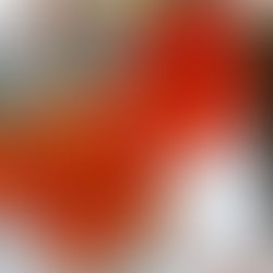 Capucine, la reine du jardin !