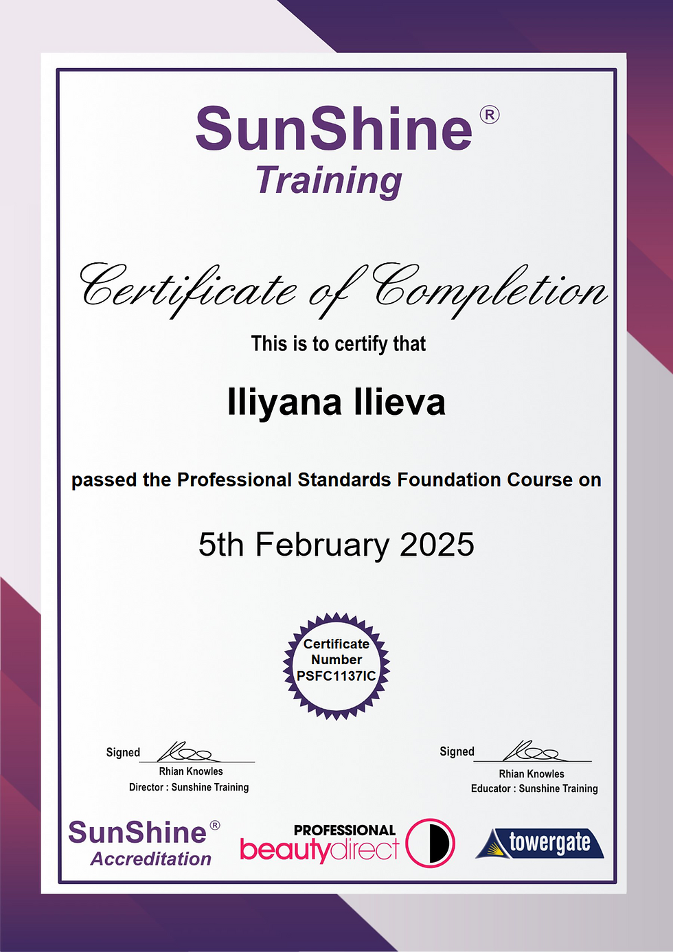 Cert Professional Standards Foundation Cource