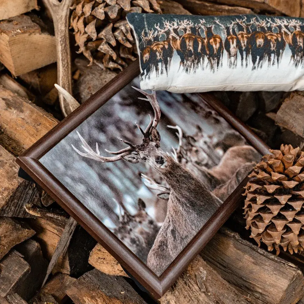 Knietablett Hirsch Winter