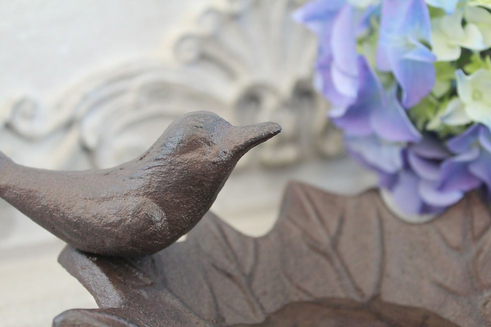 Miniaturbild: Vogeltränke AHORN