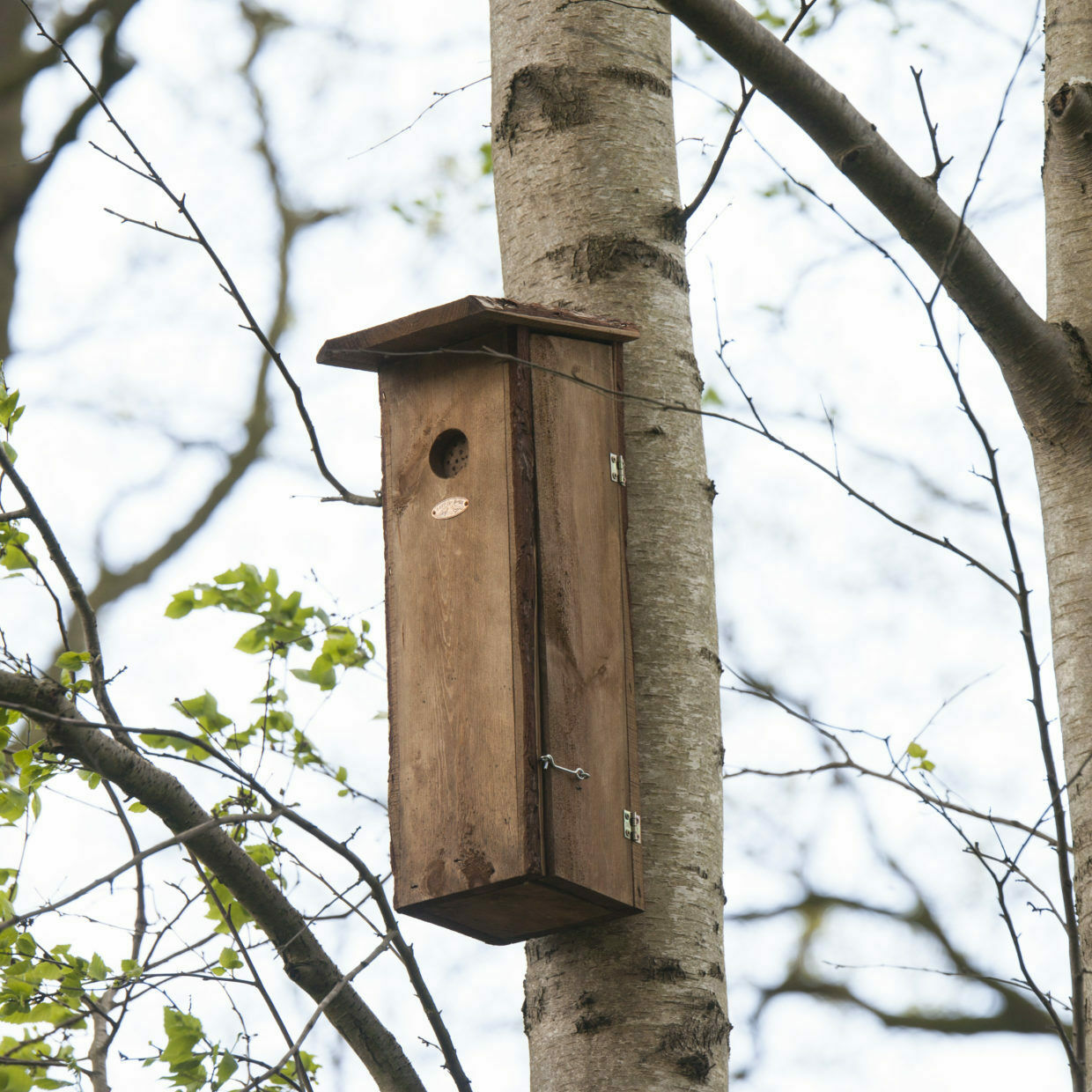 Rustikaler Nistkasten Buntspecht aus Holz