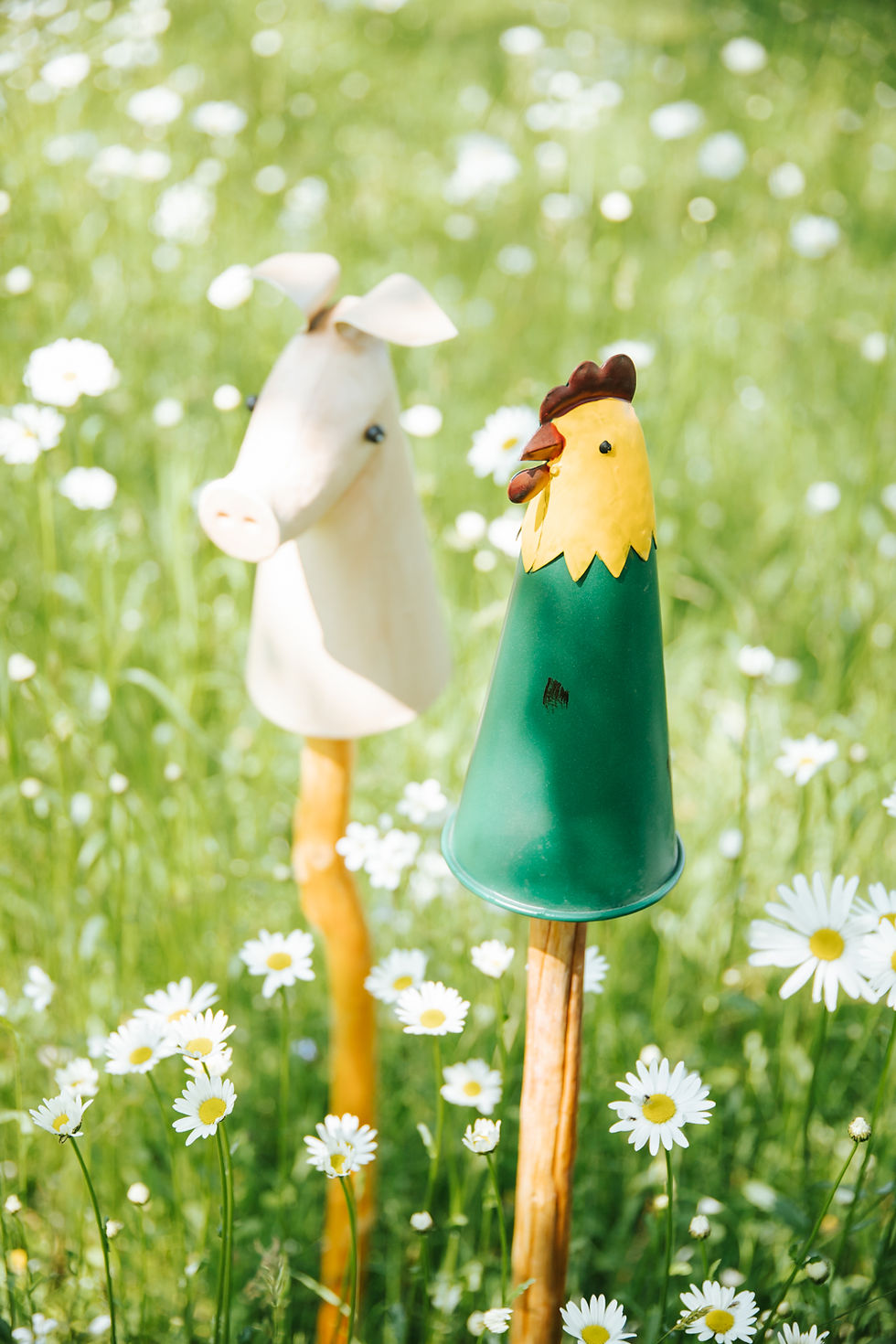 Miniaturbild: Zaunhocker Piggi