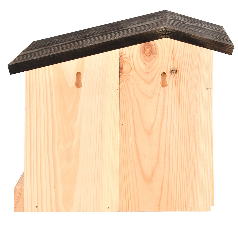 Miniaturbild: 2in1 Vogelfutterhaus, Nistkasten Bastienne