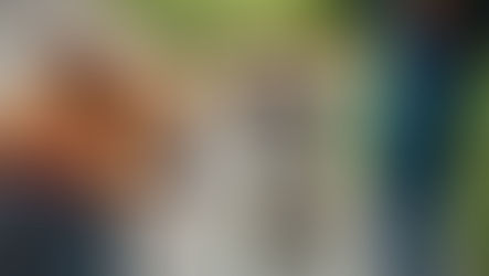 Dog reactivity and leash pulling, how to help!