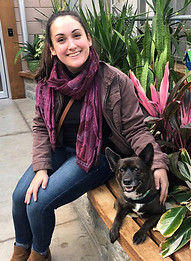 Therapy Dog Training Visit