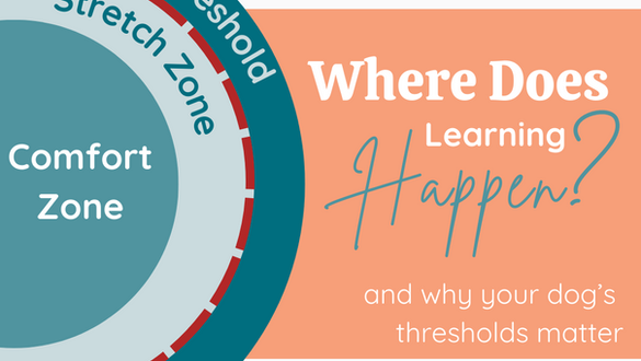 Dog Training, Learning and Thresholds