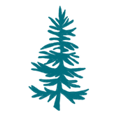 IG1 (40).png