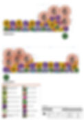 Planting Plan.jpg
