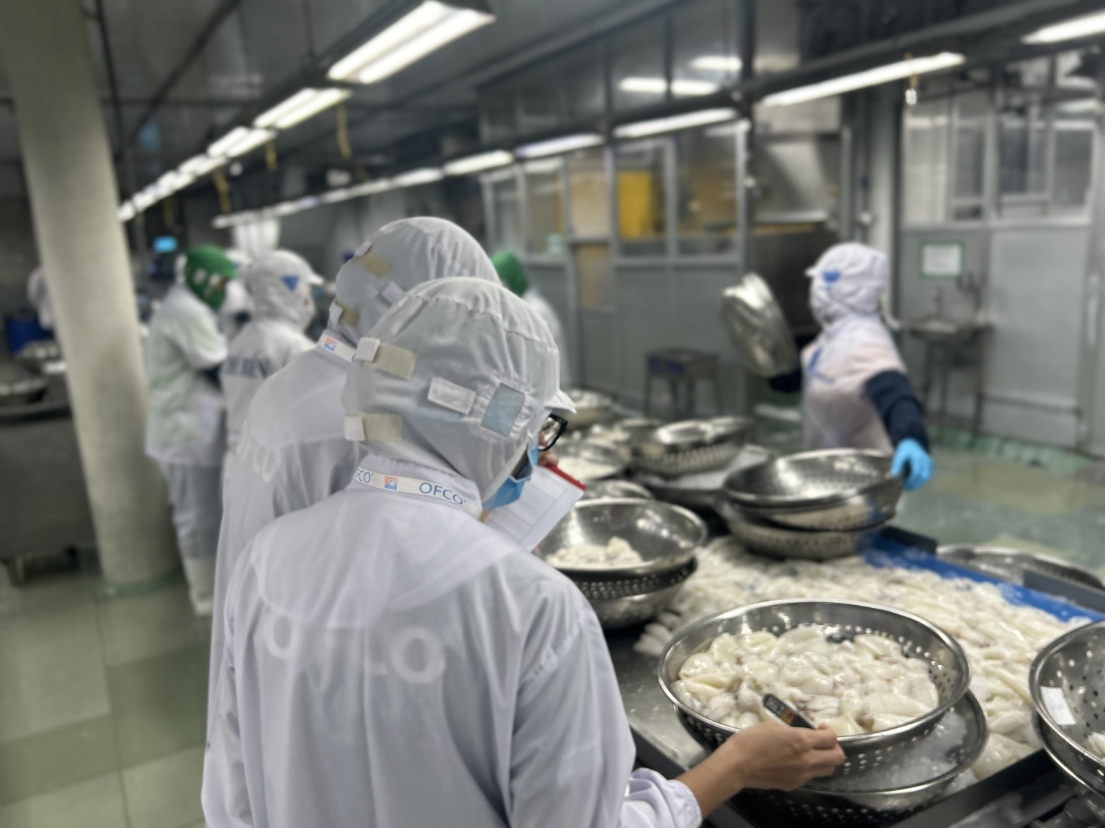 Processing Inspection