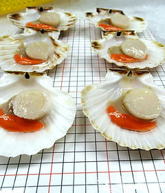 King Scallops _half shell (2)