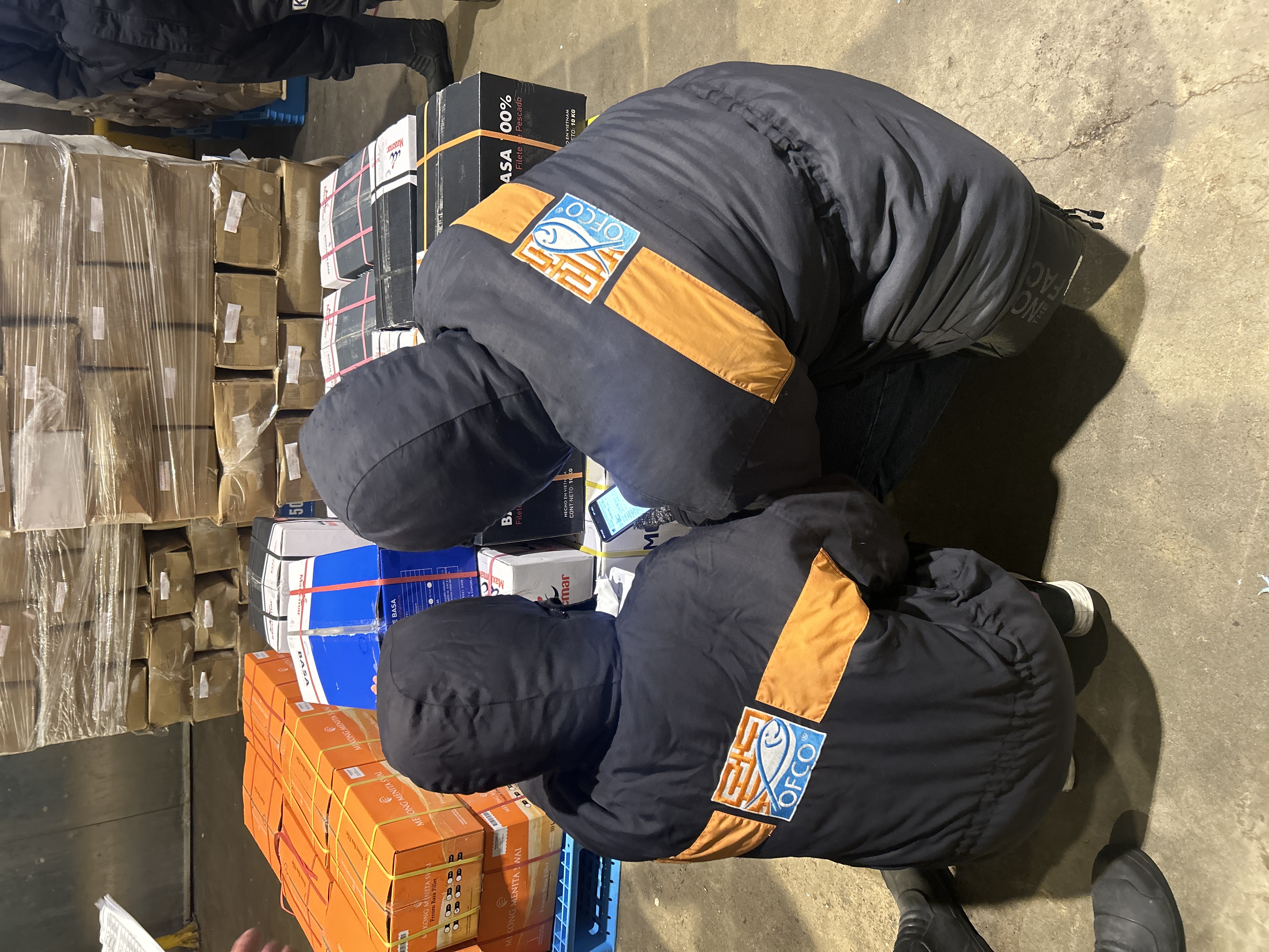 Sample Inspection 2