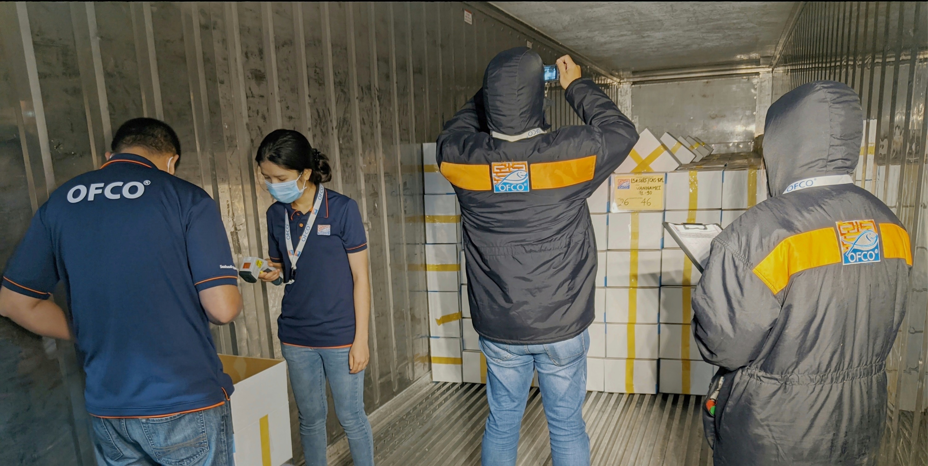Loading Inspection