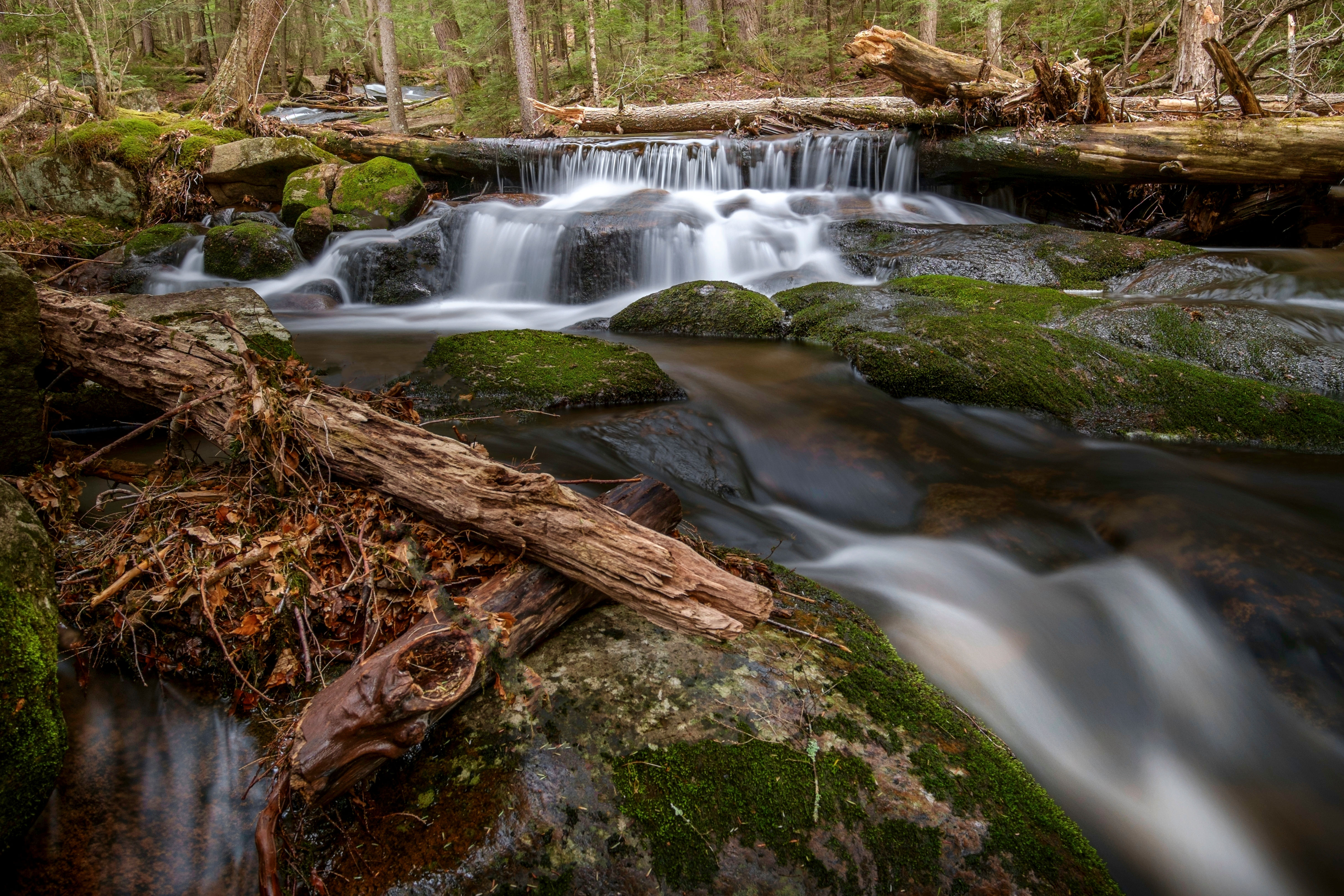 Falls Brook Indian Lake