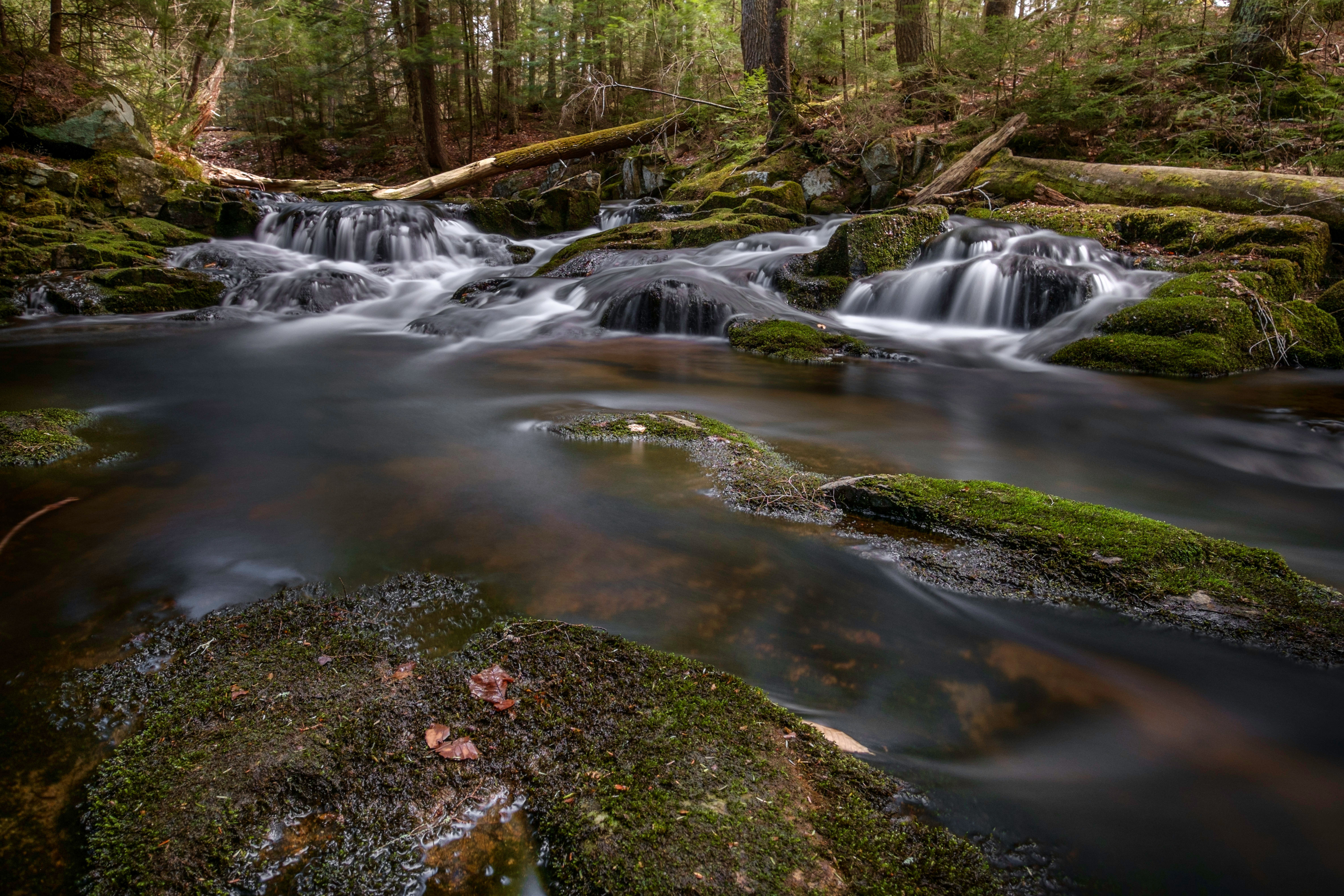 Falls Brook Indian Lake