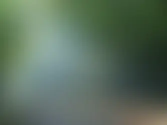 ワークショップのご案内