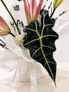 Thumbnail: The Foraged Botanica