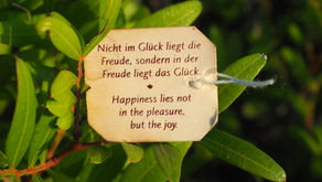 Bild vom Yogaspruch: Nicht im Glück liegt die Freude, sondern in der Freude liegt das Glück.