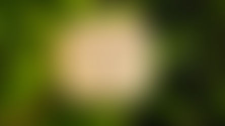 Bild vom Yogaspruch: Nicht im Glück liegt die Freude, sondern in der Freude liegt das Glück.