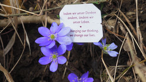 Yoga Spruch: Indem wir unser Denken ändern, ändern wir unser Leben.