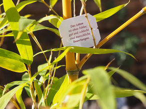 Bild vom Yogaspruch: Das Leben ist ohne Fehler, gut und schlecht sind menschliche Bewertungen