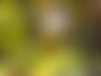 Bild vom Yogaspruch: Das Leben ist ohne Fehler, gut und schlecht sind menschliche Bewertungen