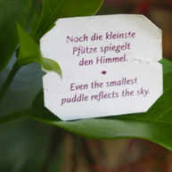Foto von der Teebeutelweisheit: noch die kleinste Pfütze spiegelt den Himmel