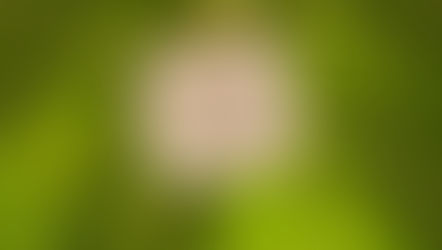 83. ☁️ Wenn die Sonne fehlt