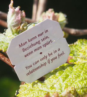 Bild von der Teebeutelweisheit: Man kann nur in Beziehung gehen, wenn man spürt.