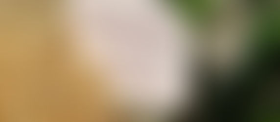 Bild vom Yogaspruch: Wege entstehen dadurch, dass man sie geht.