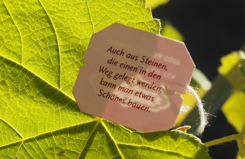 Auch aus Steinen, die einem in den Weg gelegt werden, kann man etwas Schönes bauen.