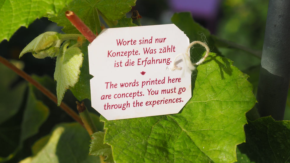 Worte sind nur Konzepte. Was zählt ist die Erfahrung