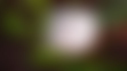 Bild von der Teebeutelweisheit: Zeit, die wir uns nehmen, ist Zeit, die uns etwas gibt.